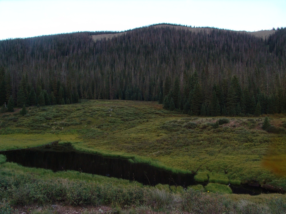 Hidden Beaver Pond